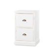 Emerson 2 Drawer Filing Cabinet