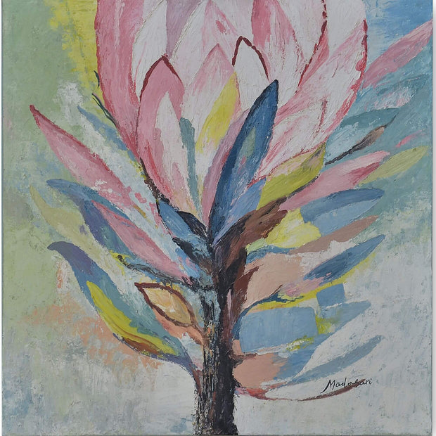 Protea Latifolia on Canvas 30 x 30 w/o Frame