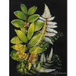 Fern Forest on Canvas 30 x 40 w/o Frame