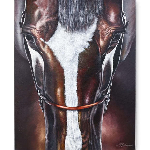 Bucephalus Horse on Canvas 36 x 48 w/o Frame
