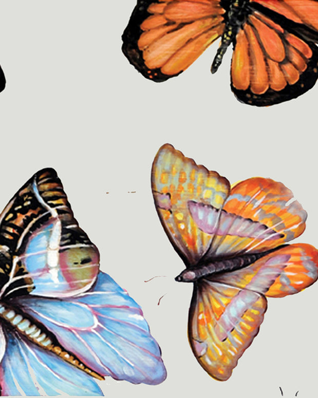 Butterflies