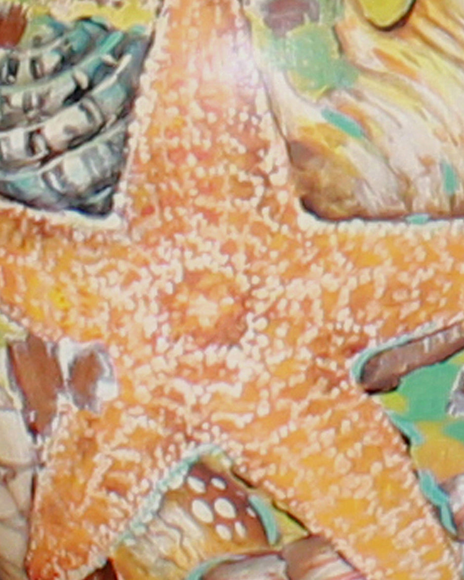 Sea Shells