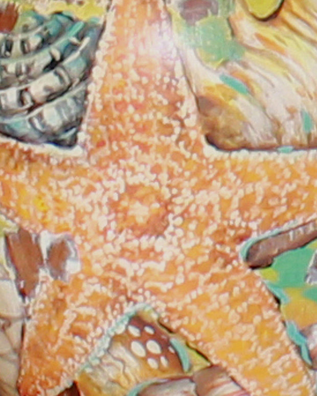 Sea Shells