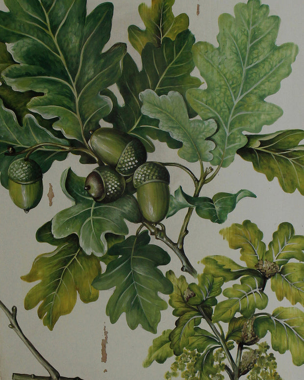 Oak Leaves Artwork