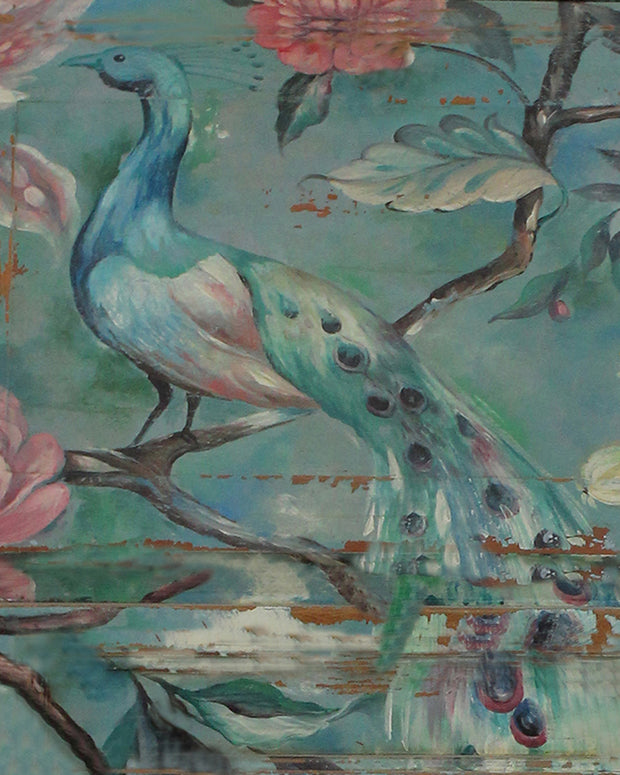 Peacock Artwork