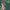 A981