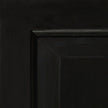 Black Shiny Finish Swatch