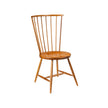 Modern Birdcage Side Chair FO856